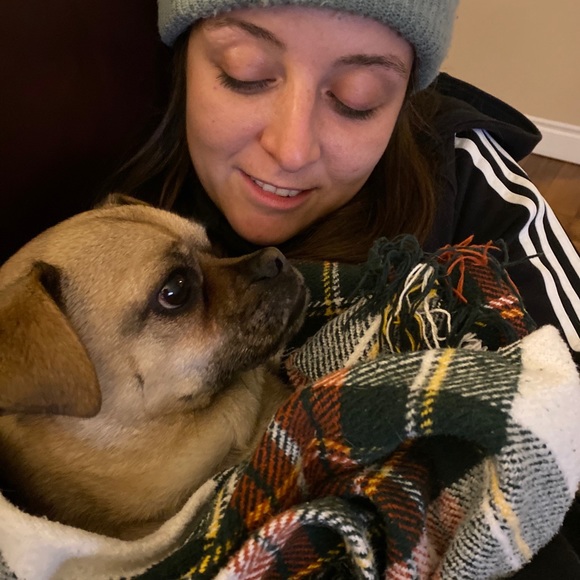 Meet your Posher, Sylv - Picture 1 of 1